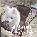 동헌로307번길 이미지