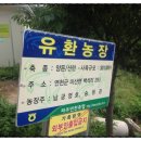 유환농장 이미지