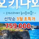 푸른바람여행사