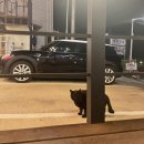 알럽에스제이 이미지