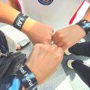 렙타일코리아 | 부산 파충류박람회 코리아 렙타일 포럼 in 부산 벡스코 제1전시장 후기