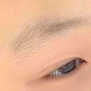 헤일로디자인