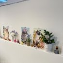 달콤냥 | 군포고양이미용 마음 편히 맡길 수 있었던 달콤냥