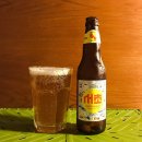 세븐브로이맥주 주식회사 이미지