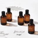 보태니컬 이미지