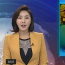 황금개구리