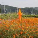 조하유치원 이미지