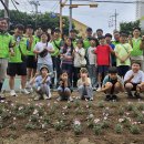 동백초교 이미지