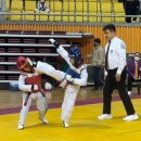 금빛태권도 이미지