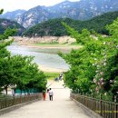 월악나루 선착장3 이미지