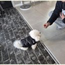 더블루네스 이미지