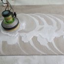 풍성한세탁 이미지