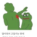 돈까스폭탄 이미지