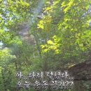이지부스터 솔루션