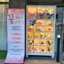 24시 자동판매기