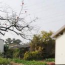 경산IC부동산중개사무소 이미지