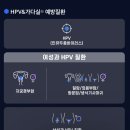 오케이365정형외과의원 이미지