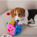 신천동물병원 이미지