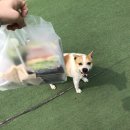 마일드키친 이미지