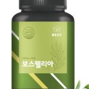 웰빙1000 이미지