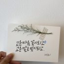 일상다글씨 이미지
