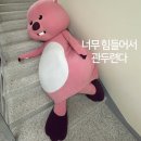 중앙체육관 이미지