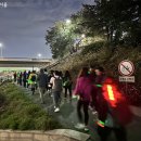 달맞이밤 이미지