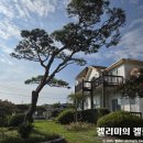 휴양펜션 화이트 드림 | 태안펜션 마검포해수욕장 도보 가능한 은정원펜션 솔직후기