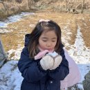 새싹 채소를 심어요. &amp; 눈으로 놀이해요. &amp; 북을 연주해요. 이미지