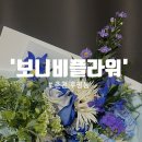 꽃집/춘천꽃다발] 어버이날 스승의날 카네이션, 용돈박스 &#39;보니비플라워&#39; 센스있는 꽃다발 내돈내산 후기