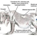 린동물병원 이미지