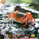 피규어 뽑기샵 이미지