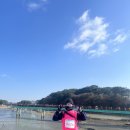 2023년 화성시 희망둘레길 걷기대회 참가 후기