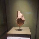 단양의료기 | 2022년 국립중앙박물관 1층 상설전시관 선사,고대관&amp;중,근세관 관람후기