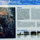 조선소길 이미지