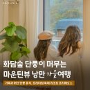 덴탈숲 | 가을 단풍명소 화담숲 근처숙소 프리메오스, 대가족 바베큐 파티!