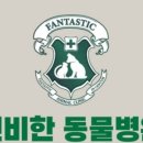 신비한 동물병원 인센텀 이미지
