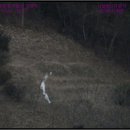 일반성면-1 이미지