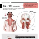 통증치료사관학교