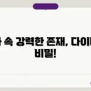 신화랑 이미지