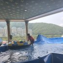 펫-오션 이미지