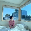 제주소호네 이미지