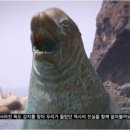 독도야 이미지
