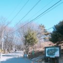 장동 산디마을입구 주차장 이미지