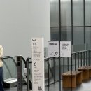 무지개약국 | 종로 전시회 추천 '데이미언 허스트 개인전'ㅣ무료 관람법, 주말 서울전시회 관람 후기
