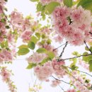 제물량로232번길 이미지