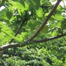 달림농장 이미지