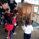 이플어린이집 이미지