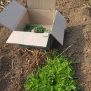 너브내마을밥상 이미지