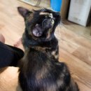 한누리마트 이미지